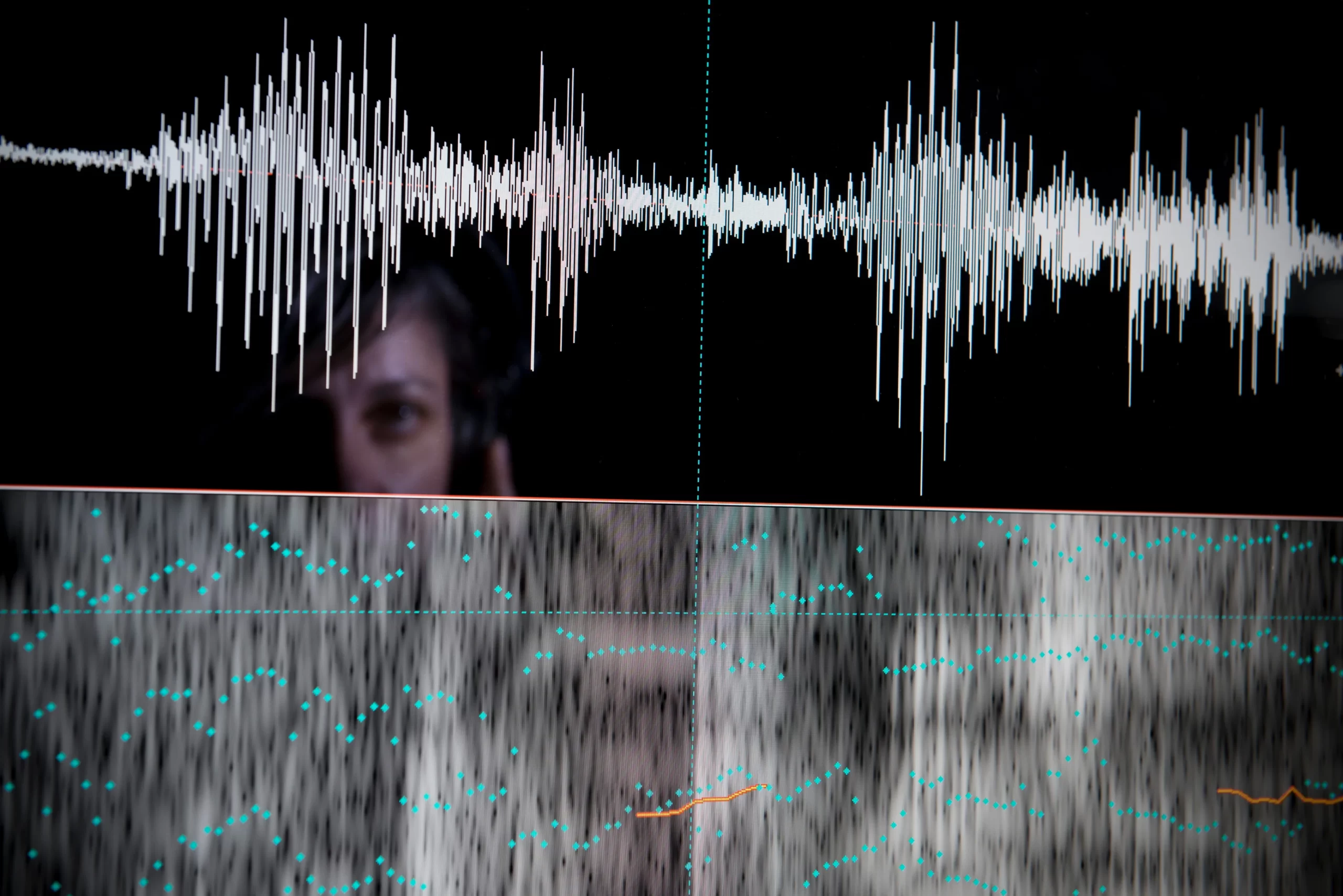 Audio expert witness testimony