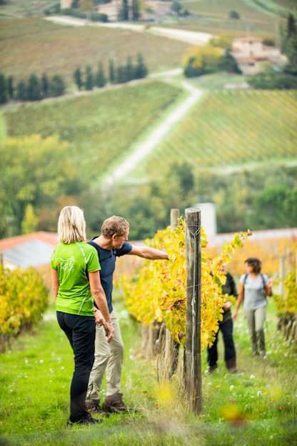 Clare Walking Tours